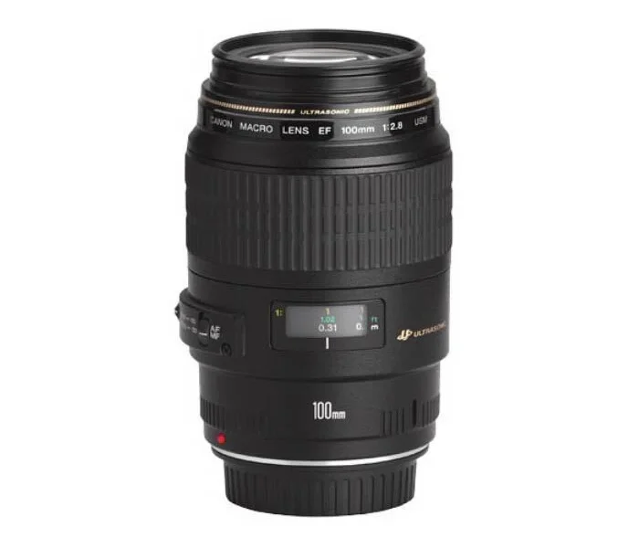 Canon 100mm F/2.8 MACRO bérlés Budapesten
