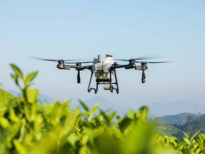 DJI AGRAS T25 kikölcsönzés Győrben