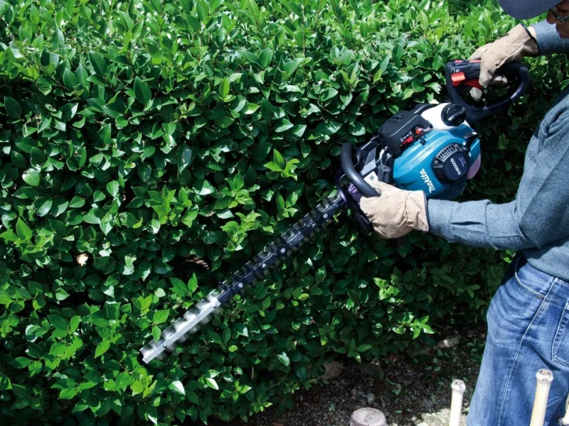 MAKITA EH7500W BENZINMOTOROS SÖVÉNYVÁGÓ – kölcsönzés Alsónémediben