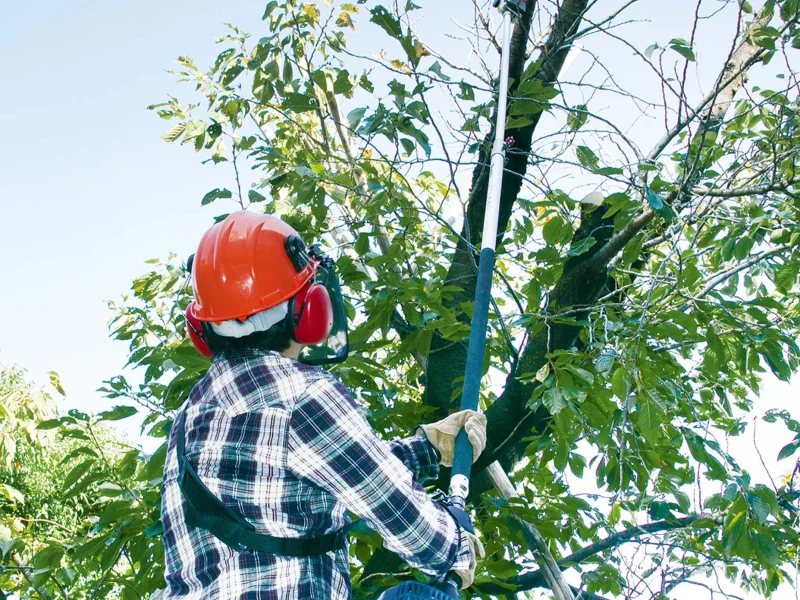 MAKITA EY2650H MAGASSÁGI ÁGVÁGÓ 3,9m – bérlés Alsónémediben